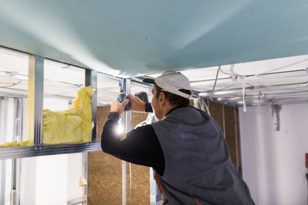 Best Insulation for Specific Applications in Pearl River, MS