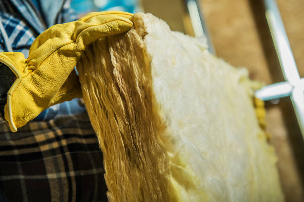 Best Insulation Maintenance and Repair in Pearl River, MS