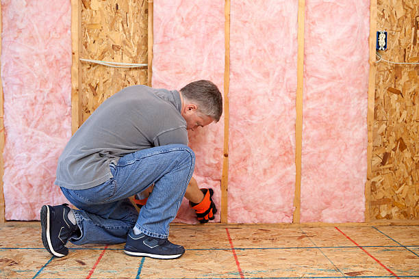Best Geographic-Specific Insulation Services in Pearl River, MS